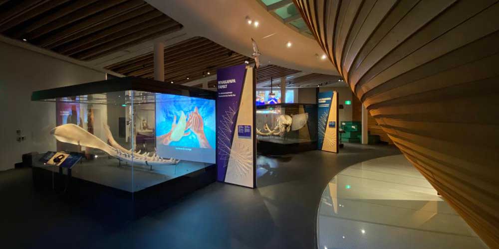 European Museum Technology designs and Manafactures Museum Quality Showcases